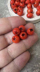 Ягоды рябины, 5 штук- фото2