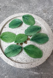 Листочки крупные, 20-25 мм., 2 шт. - фото