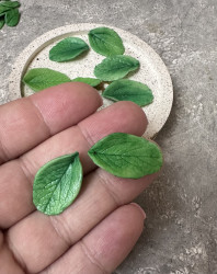 Листочки крупные, 20-25 мм., 2 шт. - фото2