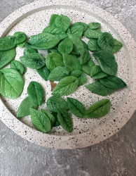 Листочки мелкие, 6-15 мм., 10 шт.- фото